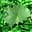 Green CZ